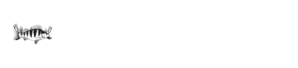 RAV Recknitz-Darßer-Boddenkette e.V.