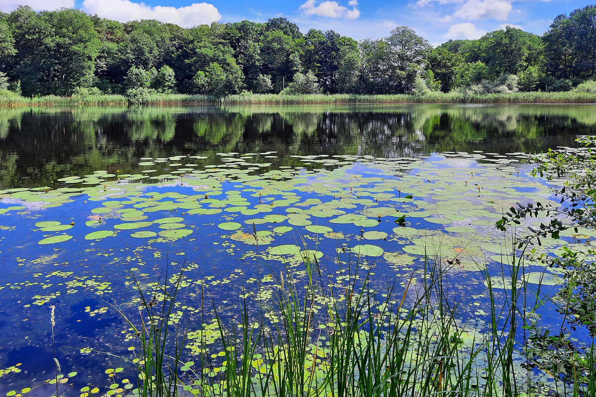 Recknitz-Darsser-Boddenkette
