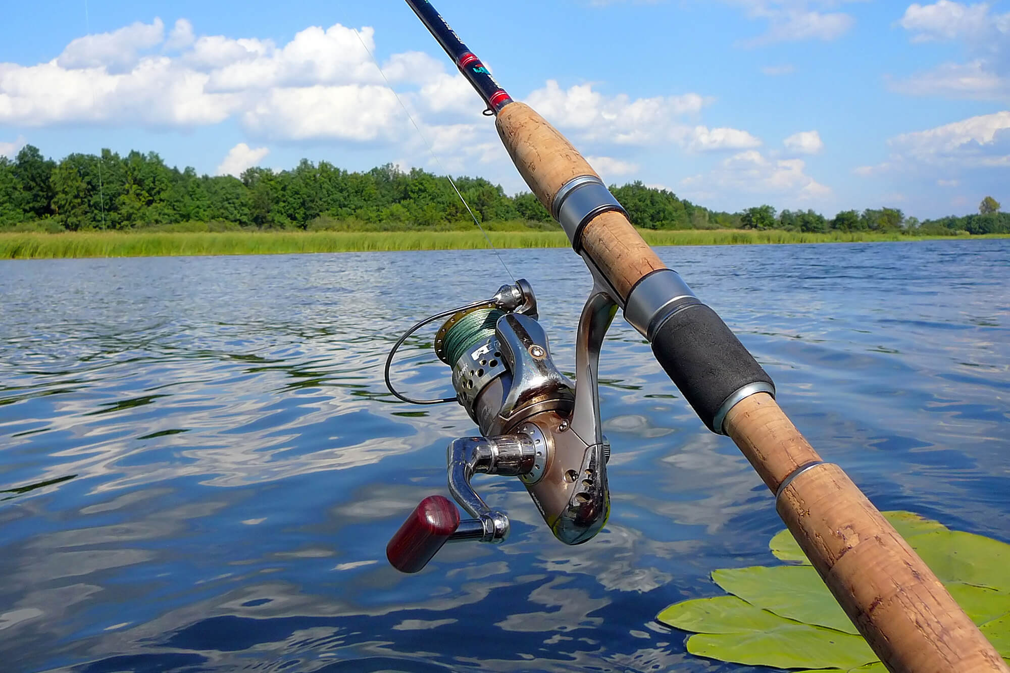 Regionalanglerverband Recknitz-Darßer-Boddenkette e.V.