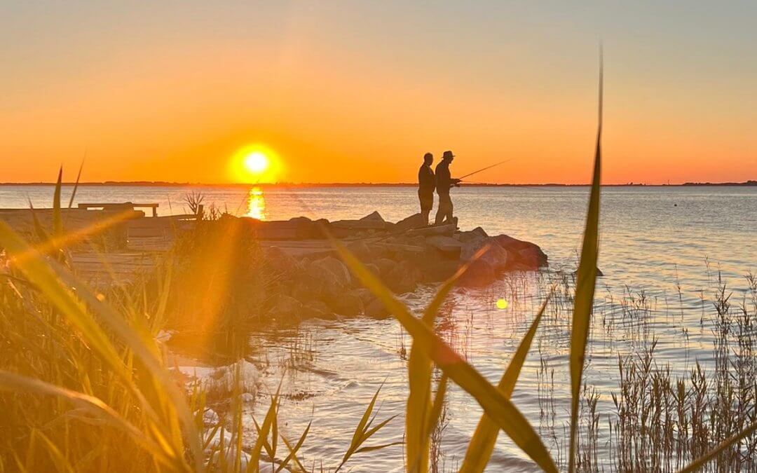 Neujahrsgruß Fröhliches 2025